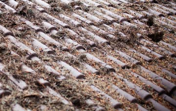 Lamesley roof cleaning companies