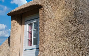 Lamesley thatch roof disadvantages